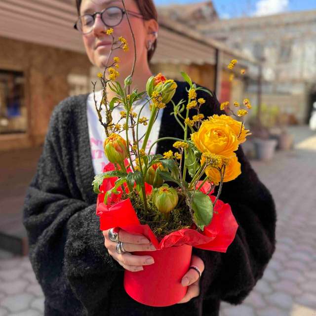 Для матери дракона 