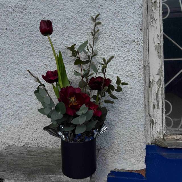 Сердце дракона 