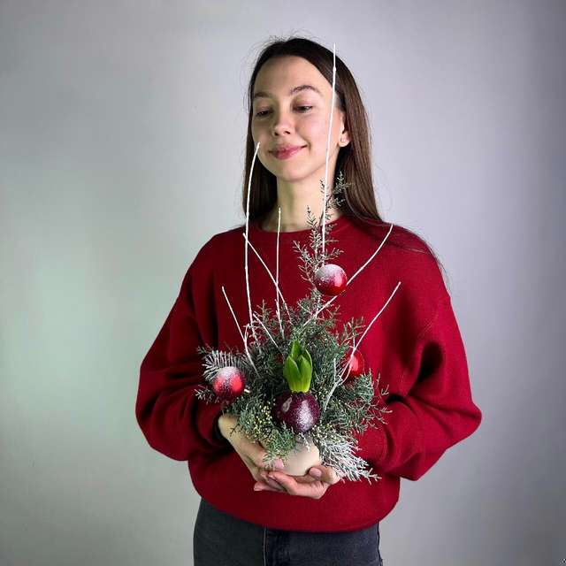 Гиацинт зимой