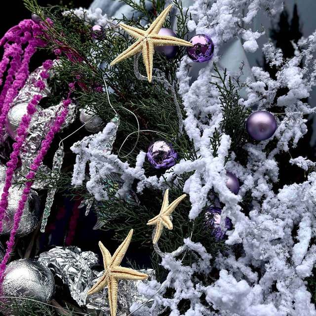 Зимний прилив 