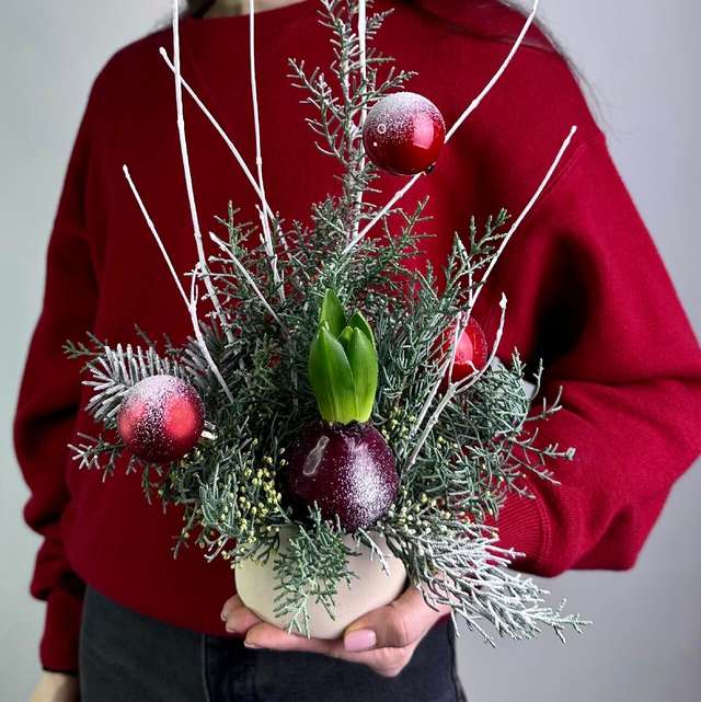 Гиацинт зимой