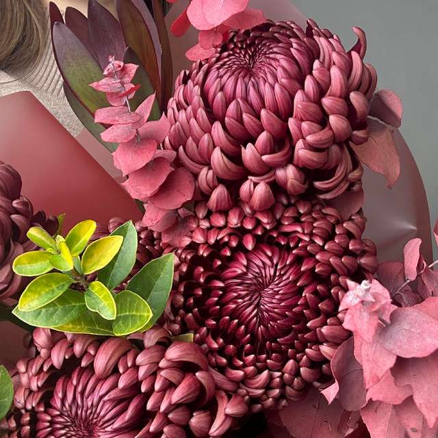 Румянец алой зари