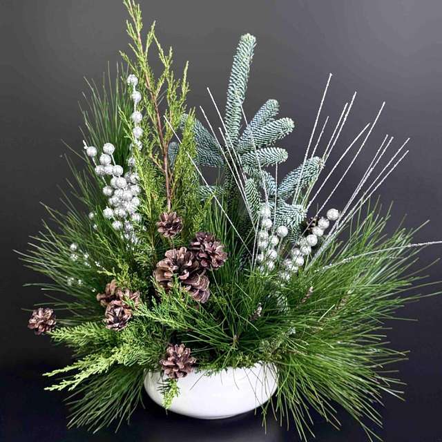 Мис лаконичность