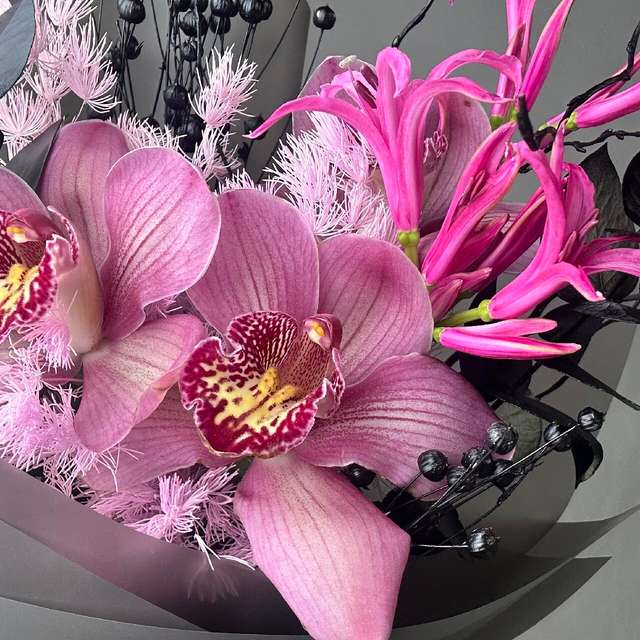 Маленький иностранец