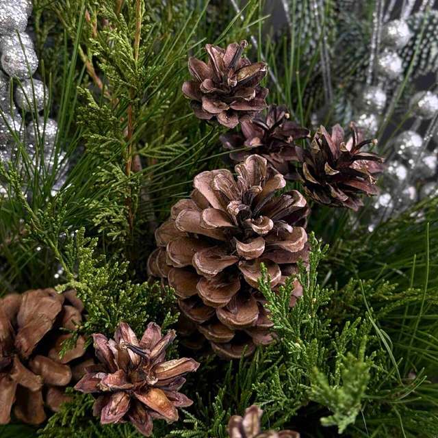 Мис лаконичность